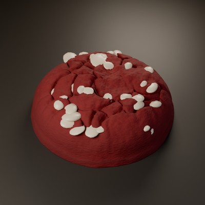 Le Rubis Chocolat Blanc – cookie entier